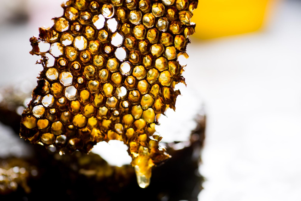 pszczelarstwo ekologiczne, miod prosto z pasieki, miod prosto od pszczelarza