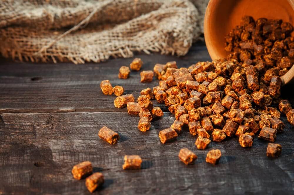 pierzga pszczela, pierzga, kit pszczeli, kit